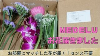 メデル（medelu）の花