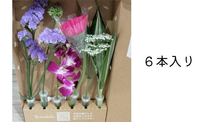 メデル（medelu）の花は6本